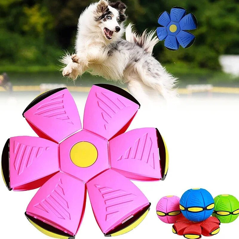 Dog Toys Flying UFO Saucer Ball Interactive Outdoor Sports Training Games Magic Deformation Flat Throw Disc Ball Pet Supplies